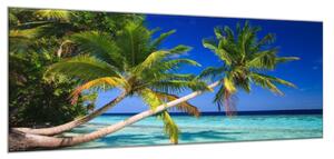 Obraz sklenený tropický raj Maledivy - 30 x 60 cm
