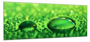Obraz sklenený kvapka vody na zelenom skle - 30 x 60 cm