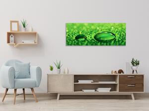 Obraz sklenený kvapka vody na zelenom skle - 30 x 60 cm