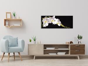 Obraz sklenený biela orchidea na čiernom pozadí - 50 x 100 cm