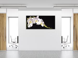 Obraz sklenený biela orchidea na čiernom pozadí - 30 x 60 cm