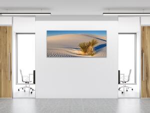 Obraz sklenený tráva v bielej piesočnej dune - 30 x 60 cm