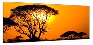 Obraz sklenený západ slnka Afrika Keňa - 30 x 60 cm