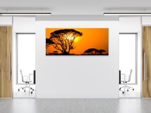 Obraz sklenený západ slnka Afrika Keňa - 34 x 72 cm