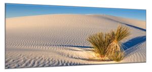Obraz sklenený tráva v bielej piesočnej dune - 40 x 60 cm