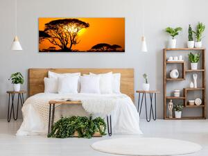 Obraz sklenený západ slnka Afrika Keňa - 50 x 100 cm
