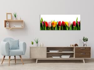 Obraz sklenený farebné tulipány - 50 x 70 cm