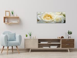 Obraz sklenený detail kvety bielej ruže - 30 x 60 cm