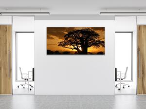 Obraz sklenený západ slnka Afrika Tanzánia - 50 x 100 cm