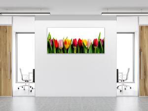 Obraz sklenený farebné tulipány - 50 x 100 cm