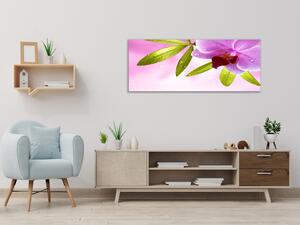 Obraz sklenený motív wellness orchidea - 50 x 100 cm