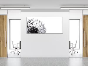 Obraz sklenený čierna odkvitnutá púpava s rosou - 40 x 60 cm
