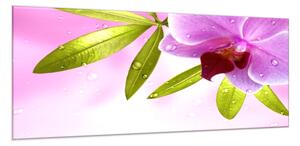 Obraz sklenený motív wellness orchidea - 40 x 60 cm