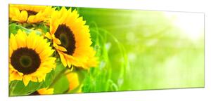 Obraz sklenený kvety slnečnice na zelenom pozadí - 34 x 72 cm