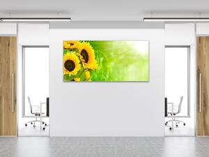 Obraz sklenený kvety slnečnice na zelenom pozadí - 30 x 60 cm
