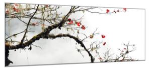 Obraz sklenený vetva s červenými lístkami - 40 x 60 cm