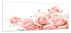 Obraz sklenený kvety ružovej ruže - 40 x 60 cm
