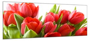 Obraz sklenený červené tulipány - 30 x 60 cm
