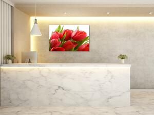 Obraz sklenený červené tulipány - 50 x 100 cm