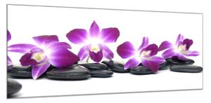Obraz sklenený kvety fialová orchidea a kameň - 40 x 60 cm