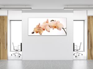 Obraz sklenený kvety losová orchidea - 30 x 60 cm