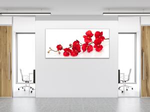 Obraz sklenený kvety červená orchidea - 30 x 60 cm