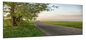 Obraz sklenený cesty v krajine - 30 x 60 cm