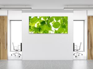 Obraz sklenený bukové lístie - 30 x 60 cm