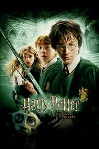 Umelecká tlač Harry Potter - Tajomná komnata