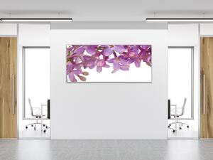 Obraz sklenený fialové kvety orgovánu - 30 x 60 cm