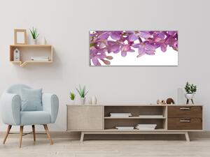 Obraz sklenený fialové kvety orgovánu - 30 x 40 cm