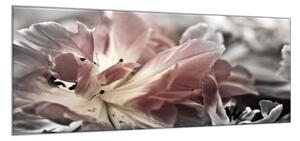 Obraz sklenený abstrakt kvet tulipánu zblízka - 50 x 100 cm
