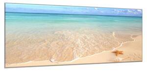 Obraz sklenený morská hviezdica na pláži - 50 x 100 cm