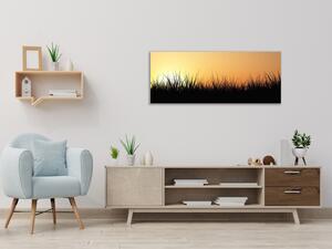 Obraz sklenený tráva v západu slnka - 50 x 100 cm