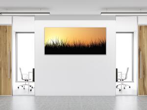 Obraz sklenený tráva v západu slnka - 30 x 60 cm