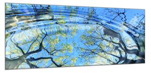 Obraz sklenený vetvy stromu odraz v hladine - 50 x 100 cm