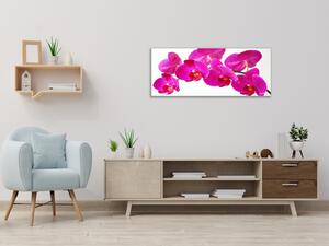 Obraz sklenený kvet tyrkysovo ružové orchidey - 50 x 100 cm