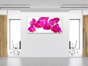Obraz sklenený kvet tyrkysovo ružové orchidey - 40 x 60 cm