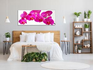 Obraz sklenený kvet tyrkysovo ružové orchidey - 30 x 60 cm