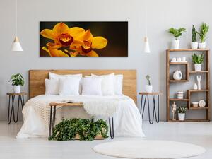Obraz sklenený oranžový kvet orchidey na hnedom pozadí - 30 x 60 cm