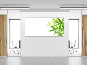 Obraz sklenený drobné bambusové lístie na bielom podklade - 30 x 60 cm