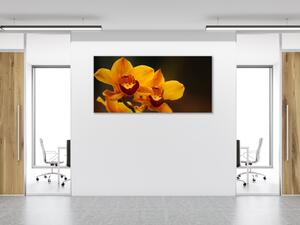 Obraz sklenený oranžový kvet orchidey na hnedom pozadí - 50 x 100 cm