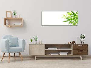 Obraz sklenený drobné bambusové lístie na bielom podklade - 34 x 72 cm