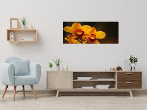 Obraz sklenený oranžový kvet orchidey na hnedom pozadí - 50 x 70 cm