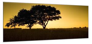 Obraz sklenený západ slnka na dedine - 40 x 60 cm