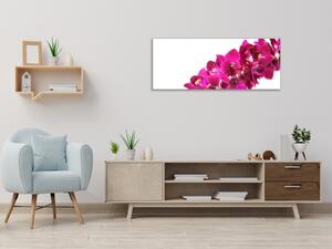 Obraz sklenený mnoho kvetov tyrkysovo ružové orchidey - 30 x 60 cm