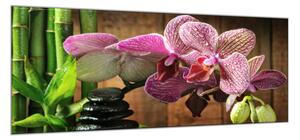 Obraz sklenený kvet ružová orchidea bambus a zen kameň - 34 x 72 cm