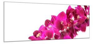 Obraz sklenený mnoho kvetov tyrkysovo ružové orchidey - 50 x 100 cm