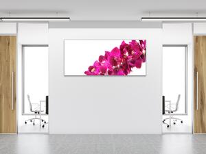 Obraz sklenený mnoho kvetov tyrkysovo ružové orchidey - 40 x 60 cm