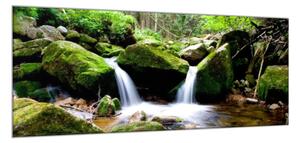 Obraz sklenený tečúca rieka v lese medzi kameňmi - 50 x 100 cm
